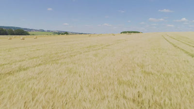 YTDown.com_YouTube_Media