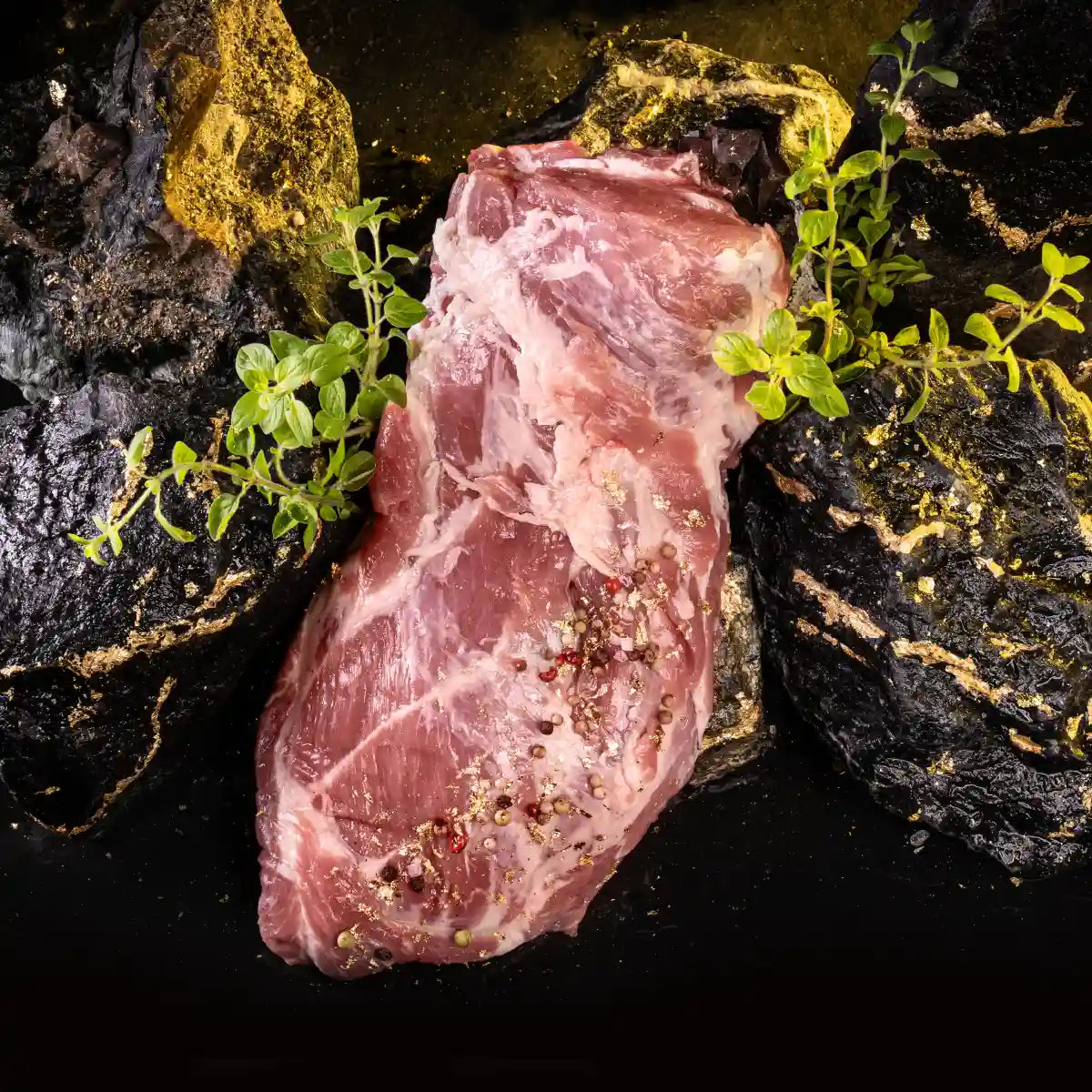 Presa / Nackenkern auf dunklem Untergrund